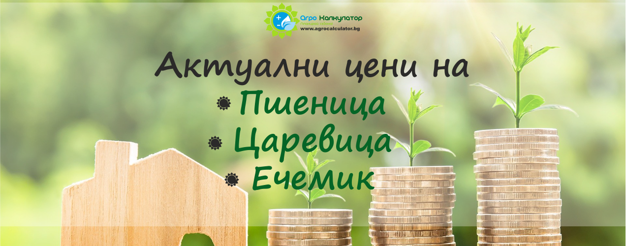 цени-на-зърнени-култури